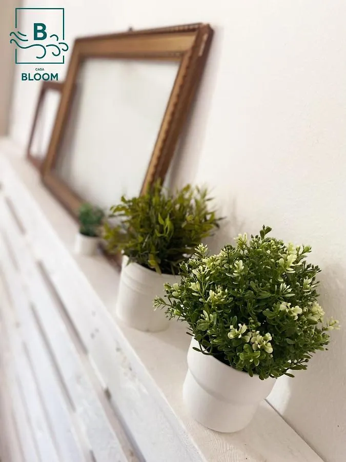 Casa Bloom Appartamento Bracca
